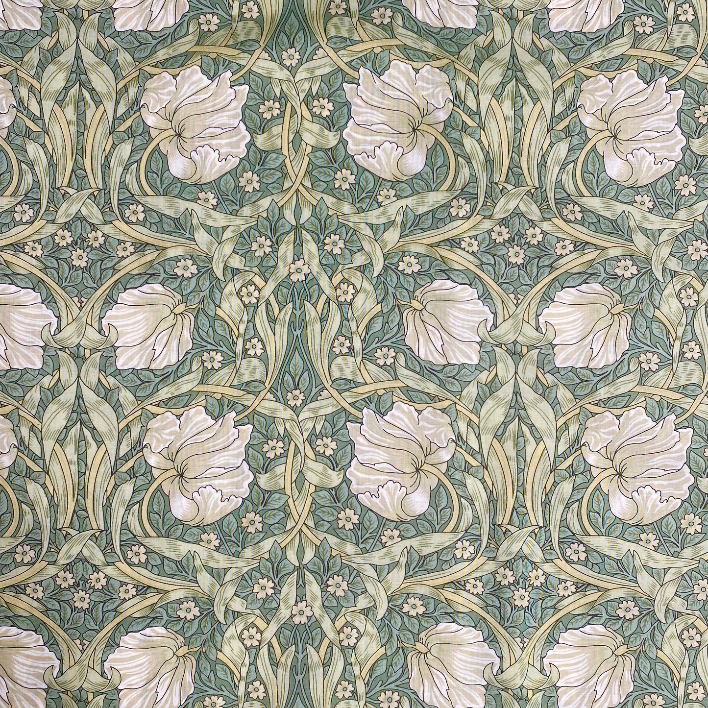 William Morris Pima Cotton Lawn | Sage Pimpernel