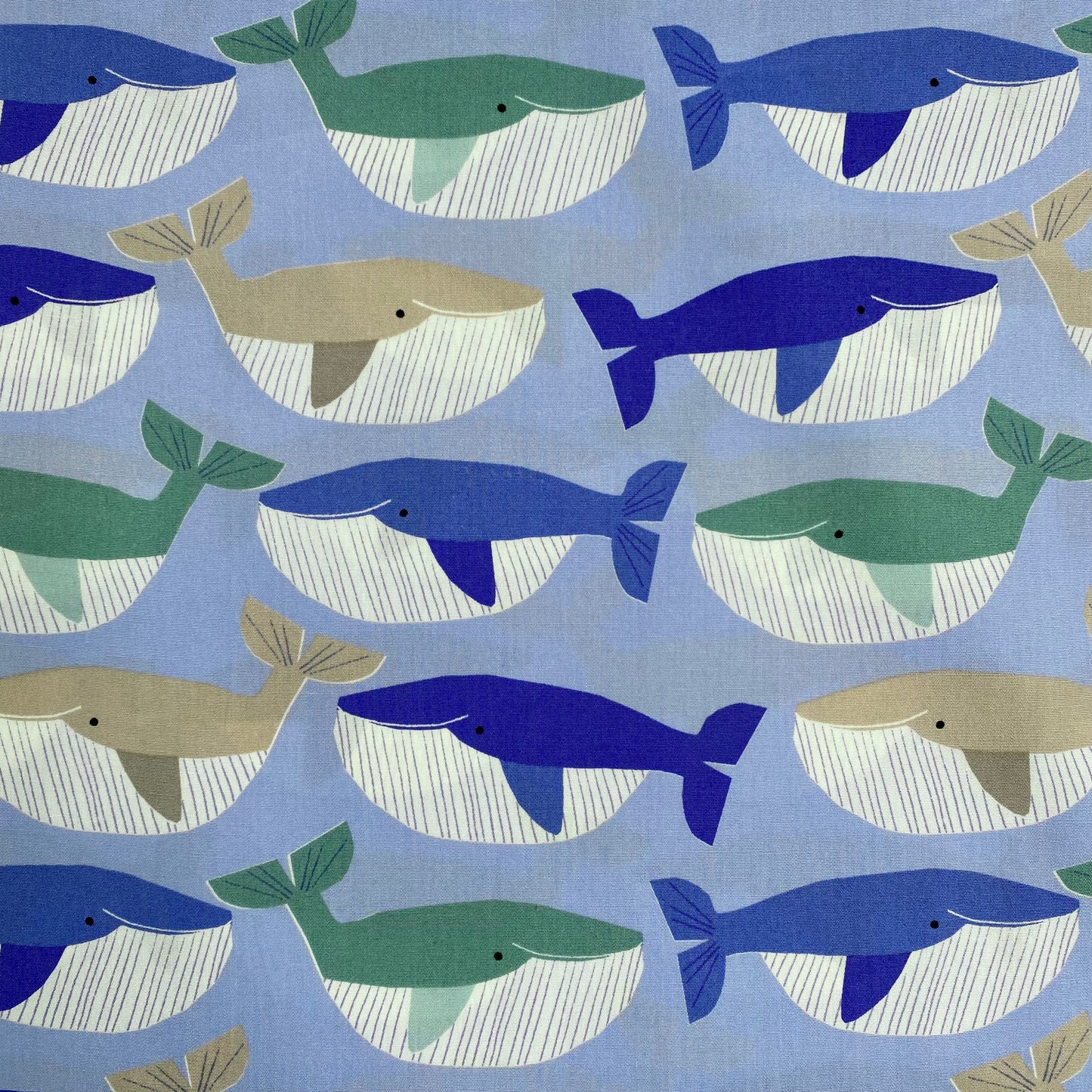 Sky Blue Whales by Sevenberry | 100% Cotton