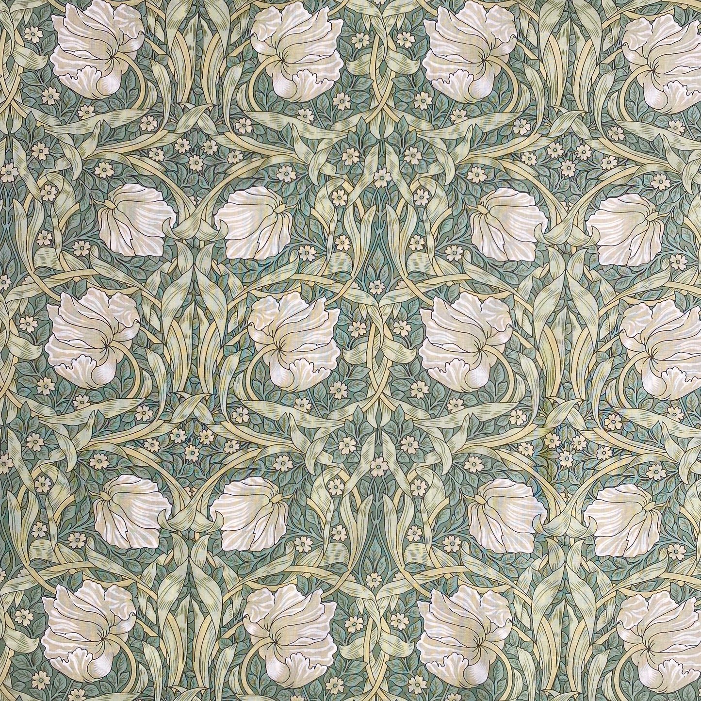William Morris Pima Cotton Lawn | Sage Pimpernel